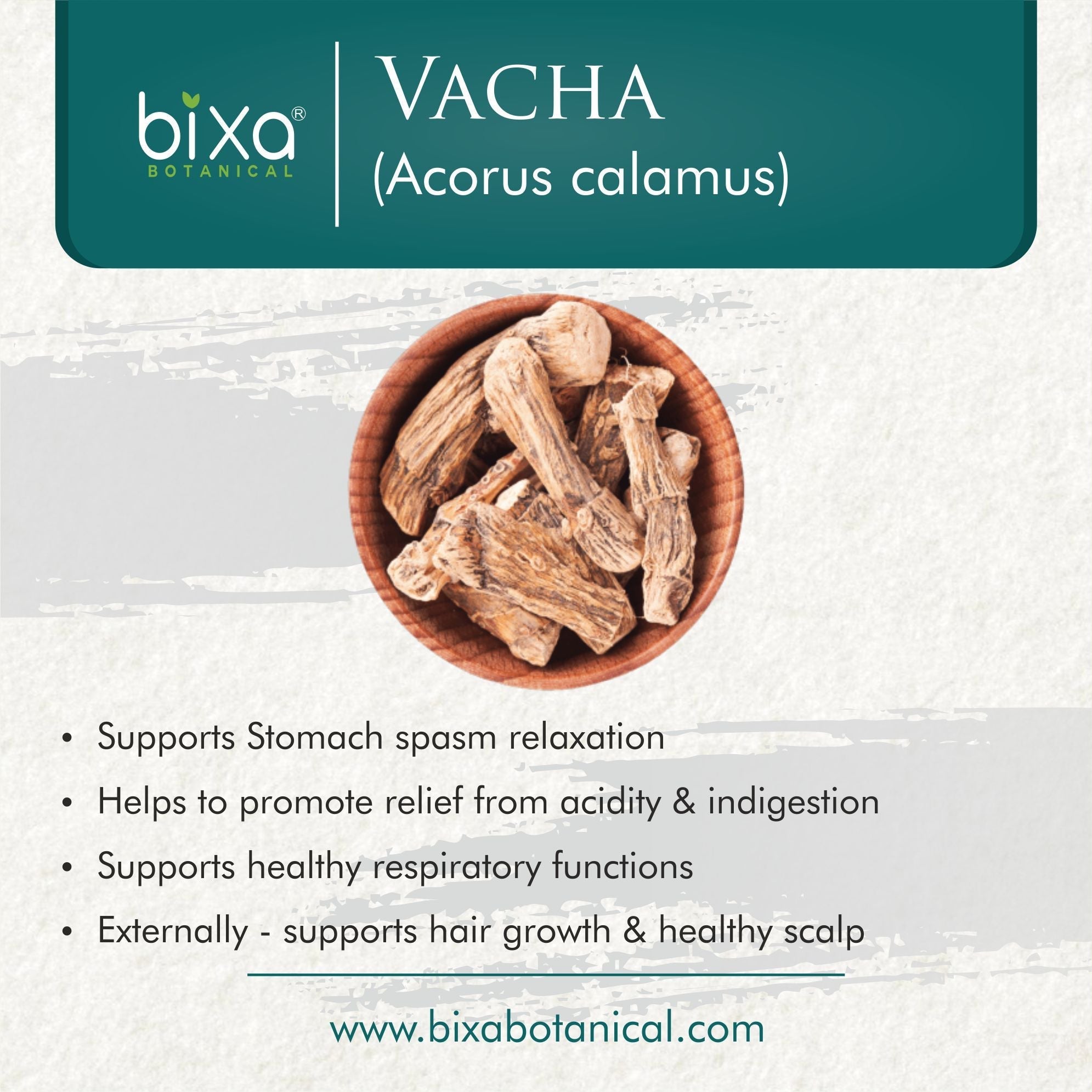 Bixa Botanical Vacha Root Powder  Acorus calamus